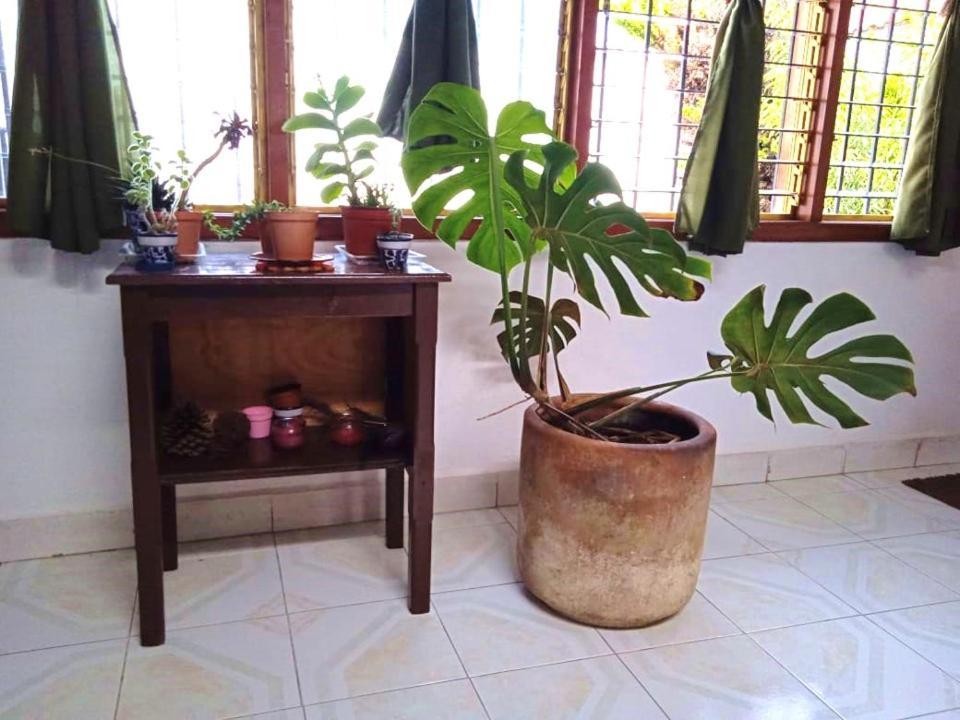 Casa Natura ซานกริสโตบัล เด ลาสกาซาส ภายนอก รูปภาพ